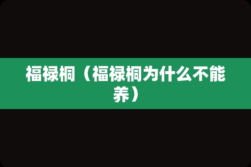 福禄桐（福禄桐为什么不能养）