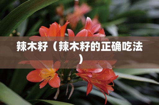 辣木籽（辣木籽的正确吃法）