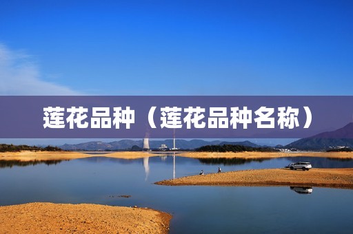 莲花品种（莲花品种名称）