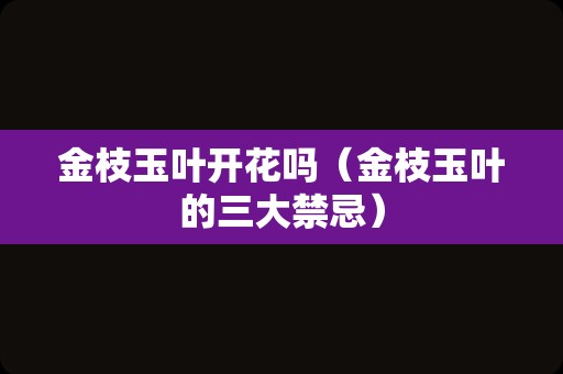 金枝玉叶开花吗（金枝玉叶的三大禁忌）
