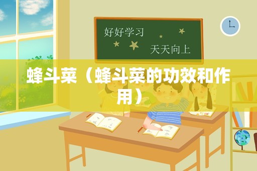 蜂斗菜（蜂斗菜的功效和作用）