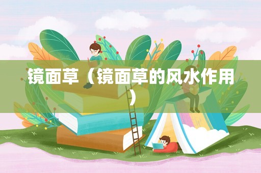 镜面草（镜面草的风水作用）