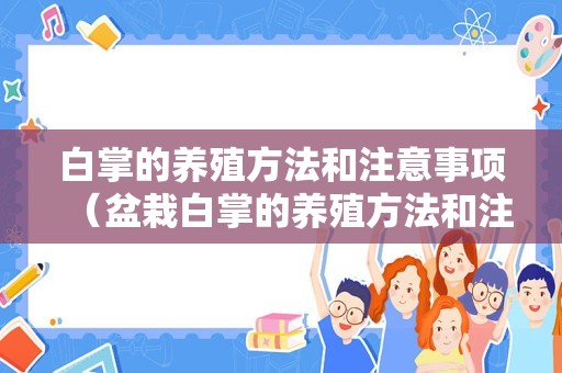 白掌的养殖方法和注意事项（盆栽白掌的养殖方法和注意事项）
