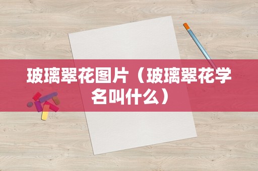 玻璃翠花图片（玻璃翠花学名叫什么）