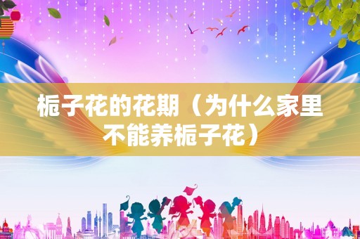 栀子花的花期（为什么家里不能养栀子花）
