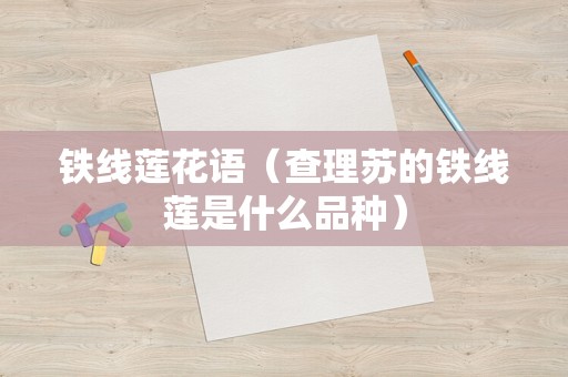 铁线莲花语（查理苏的铁线莲是什么品种）