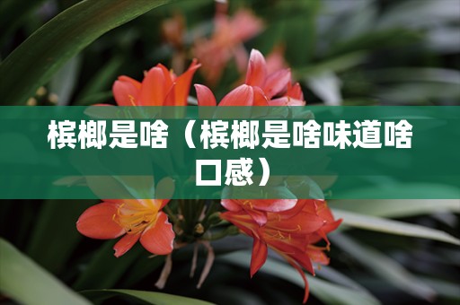 槟榔是啥（槟榔是啥味道啥口感）