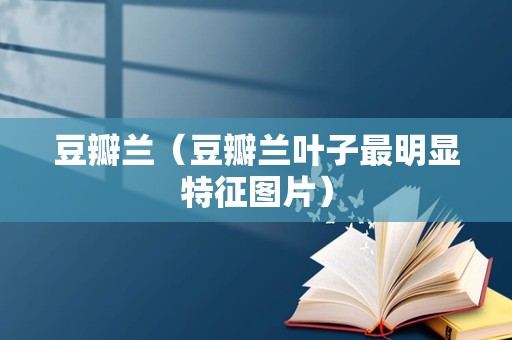 豆瓣兰（豆瓣兰叶子最明显特征图片）