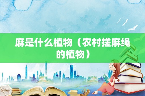 麻是什么植物（农村搓麻绳的植物）