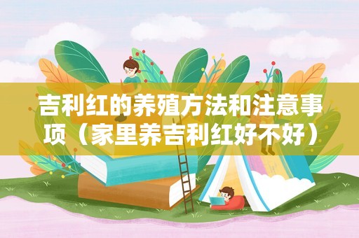 吉利红的养殖方法和注意事项（家里养吉利红好不好）