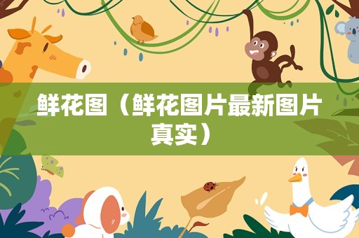 鲜花图（鲜花图片最新图片真实）