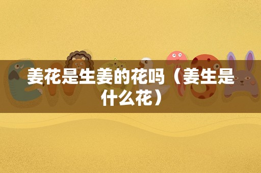 姜花是生姜的花吗（姜生是什么花）