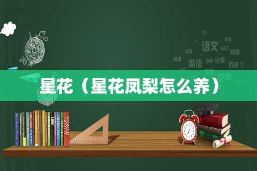 星花（星花凤梨怎么养）