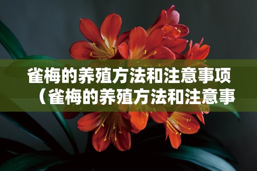 雀梅的养殖方法和注意事项（雀梅的养殖方法和注意事项有哪些）