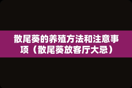 散尾葵的养殖方法和注意事项（散尾葵放客厅大忌）