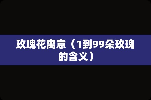 玫瑰花寓意（1到99朵玫瑰的含义）