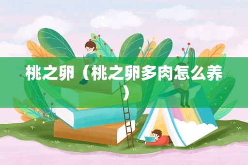 桃之卵（桃之卵多肉怎么养）