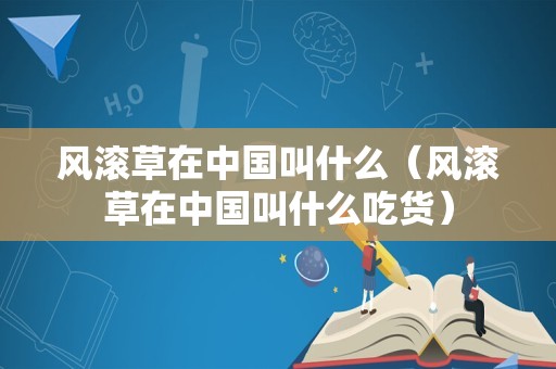 风滚草在中国叫什么（风滚草在中国叫什么吃货）