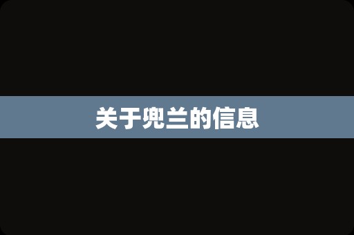 关于兜兰的信息