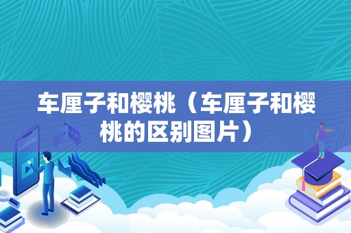 车厘子和樱桃（车厘子和樱桃的区别图片）