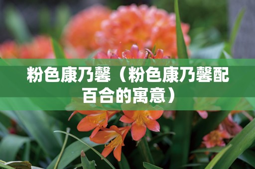 粉色康乃馨（粉色康乃馨配百合的寓意）