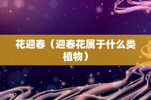 花迎春（迎春花属于什么类植物）