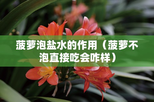 菠萝泡盐水的作用（菠萝不泡直接吃会咋样）