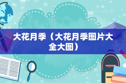 大花月季（大花月季图片大全大图）