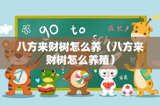 八方来财树怎么养（八方来财树怎么养殖）