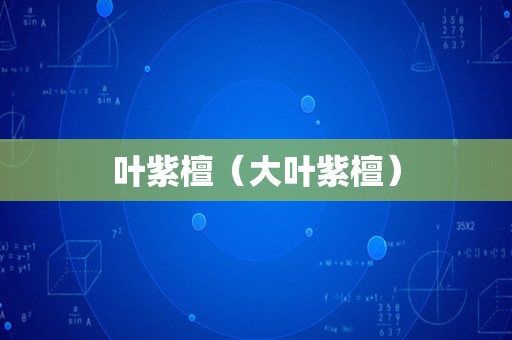叶紫檀（大叶紫檀）