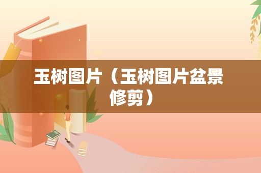 玉树图片（玉树图片盆景 修剪）