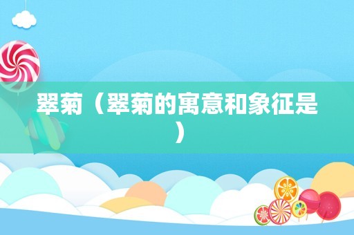 翠菊（翠菊的寓意和象征是）
