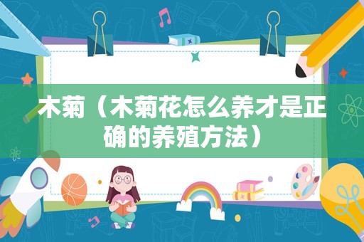 木菊（木菊花怎么养才是正确的养殖方法）