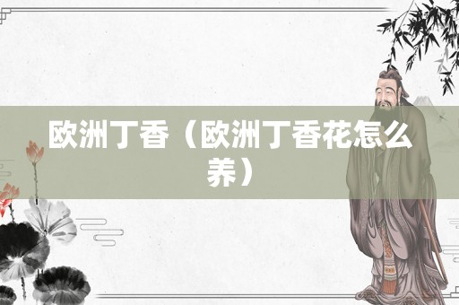 欧洲丁香（欧洲丁香花怎么养）