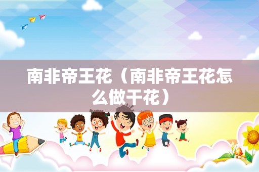 南非帝王花（南非帝王花怎么做干花）