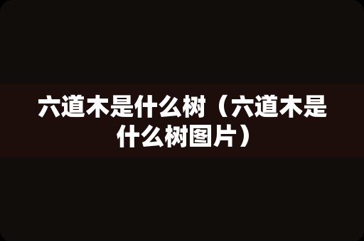 六道木是什么树（六道木是什么树图片）