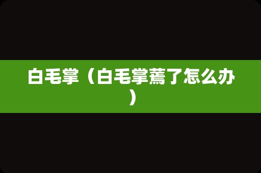 白毛掌（白毛掌蔫了怎么办）
