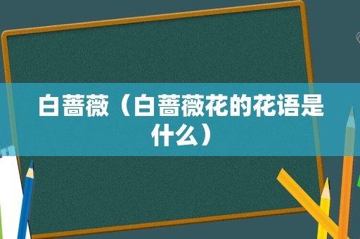 白蔷薇（白蔷薇花的花语是什么）