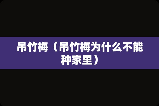 吊竹梅（吊竹梅为什么不能种家里）