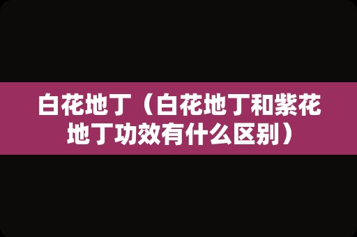 白花地丁（白花地丁和紫花地丁功效有什么区别）
