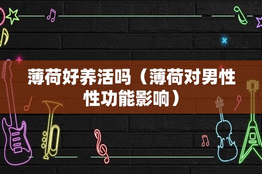 薄荷好养活吗（薄荷对男性性功能影响）