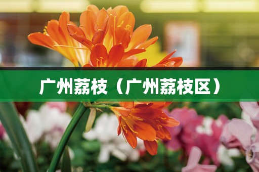广州荔枝（广州荔枝区）