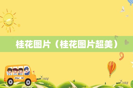 桂花图片（桂花图片超美）