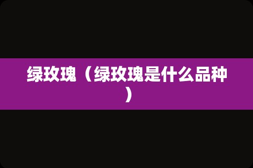 绿玫瑰（绿玫瑰是什么品种）