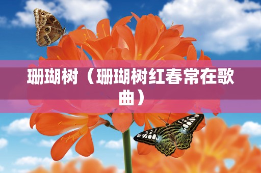珊瑚树（珊瑚树红春常在歌曲）