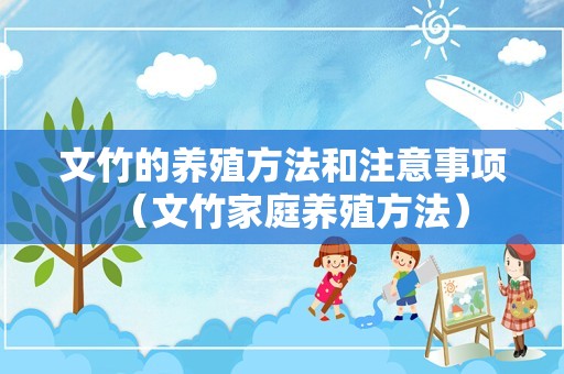 文竹的养殖方法和注意事项（文竹家庭养殖方法）