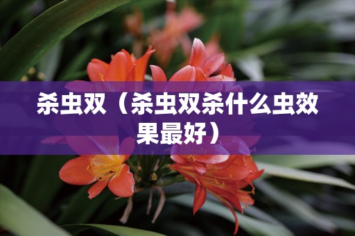 杀虫双（杀虫双杀什么虫效果最好）