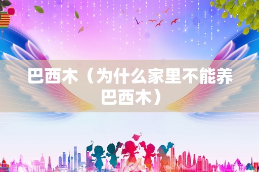 巴西木（为什么家里不能养巴西木）