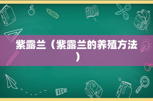 紫露兰（紫露兰的养殖方法）