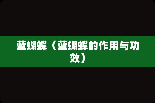 蓝蝴蝶（蓝蝴蝶的作用与功效）